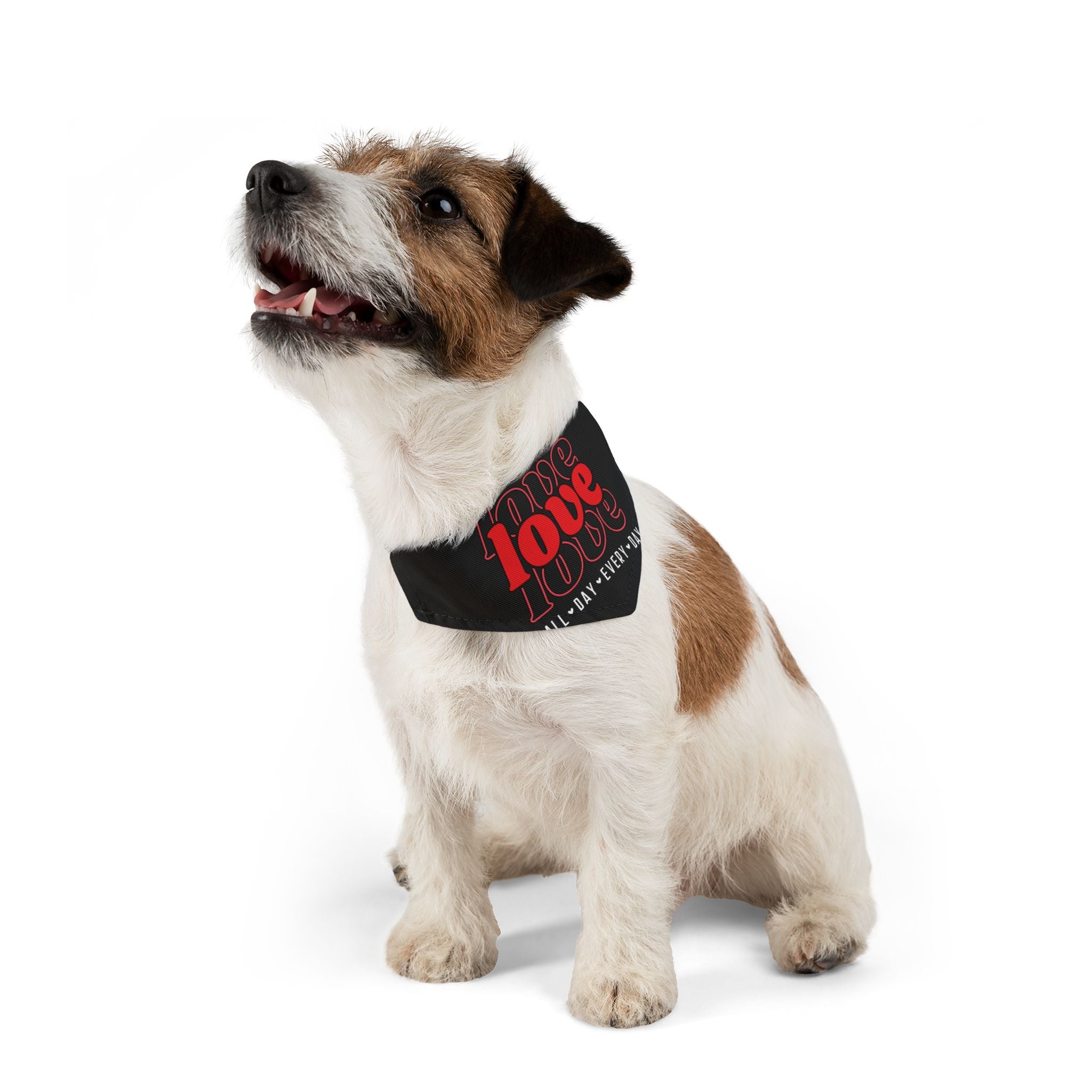 Love Love Love All Day Every Day Dog  Bandana Collar