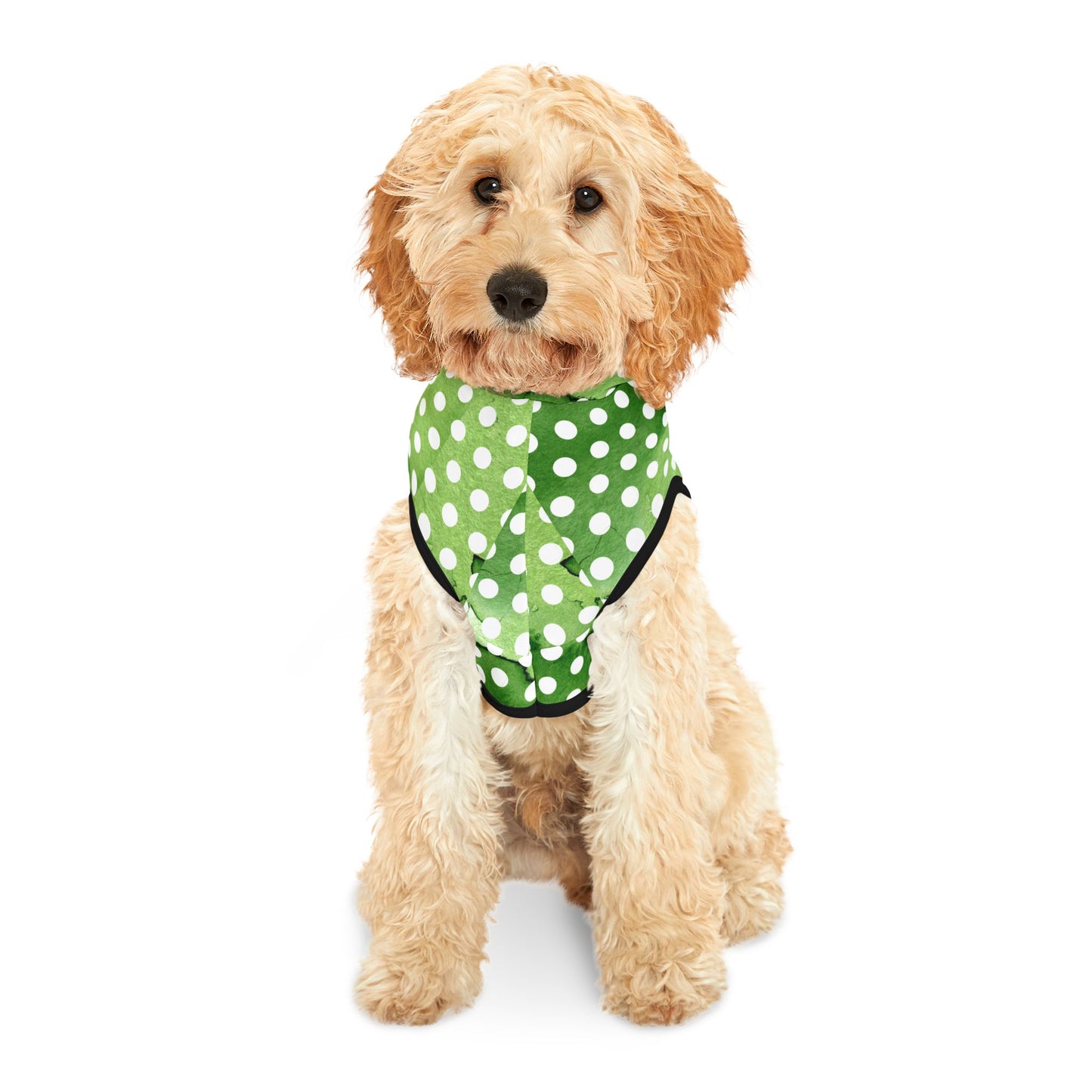 St Patrick's Day Polka Dots Dog Hoodie