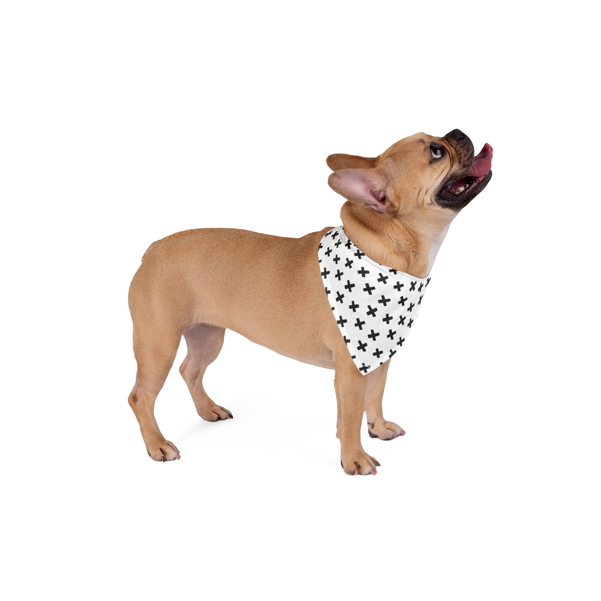 Black Crosses Dog Bandana