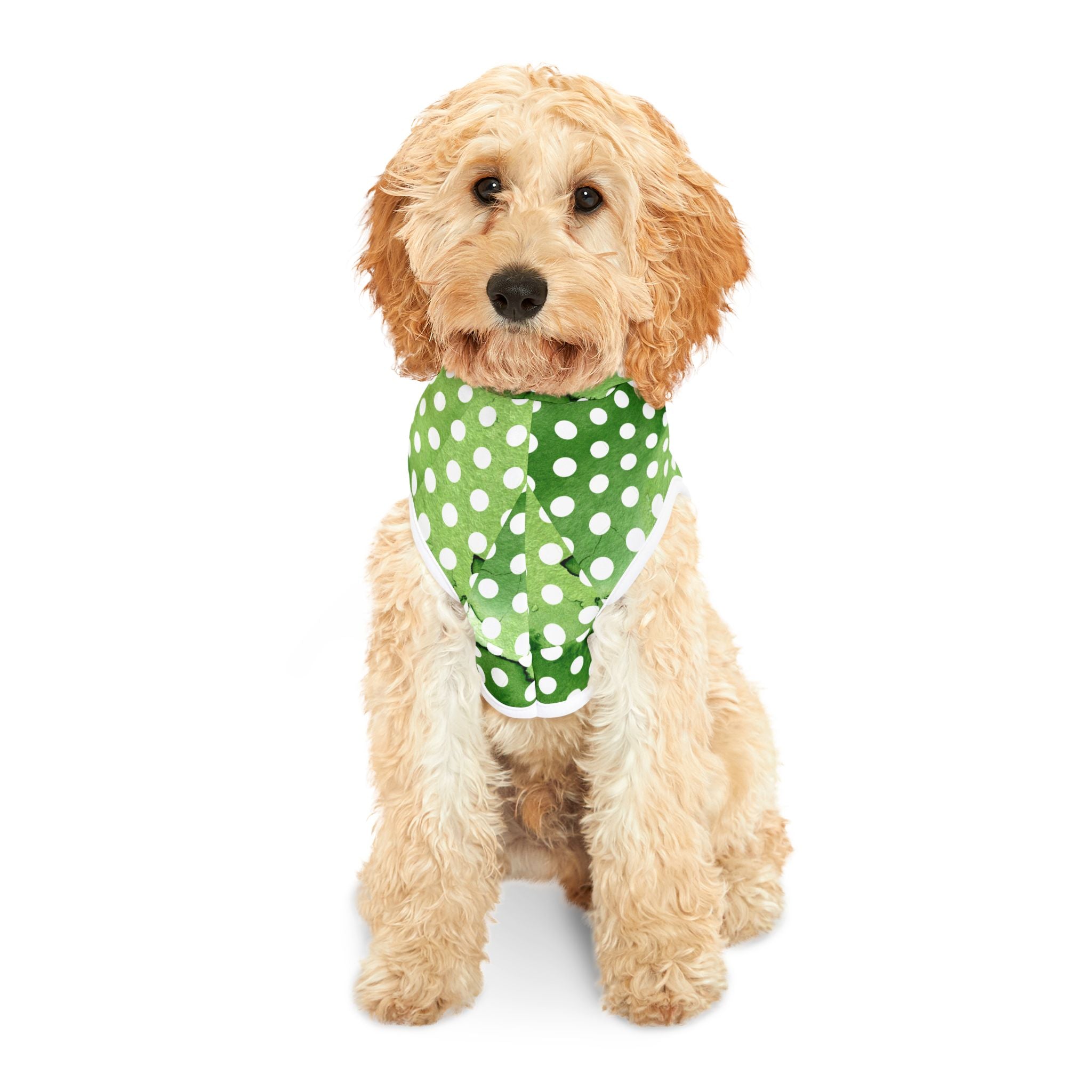 St Patrick's Day Polka Dots Dog Hoodie