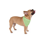 Green Polka Dots Dog Bandana